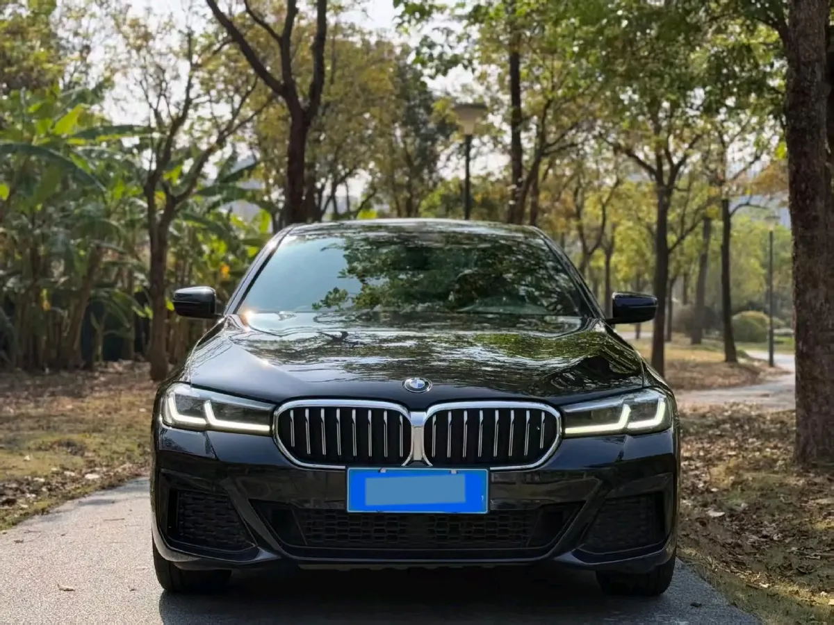 2021 BMW 5 Series 2.0T 252HP L4 8AT,autocango,china used car exporter,china ev exporter,chinese used car exporter,chinese used ev exporter