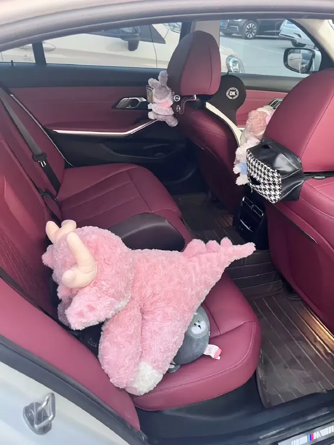 2024 BMW 3 Series 2.0T 184HP L4 8AT,autocango,china used car exporter,china ev exporter,chinese used car exporter,chinese used ev exporter