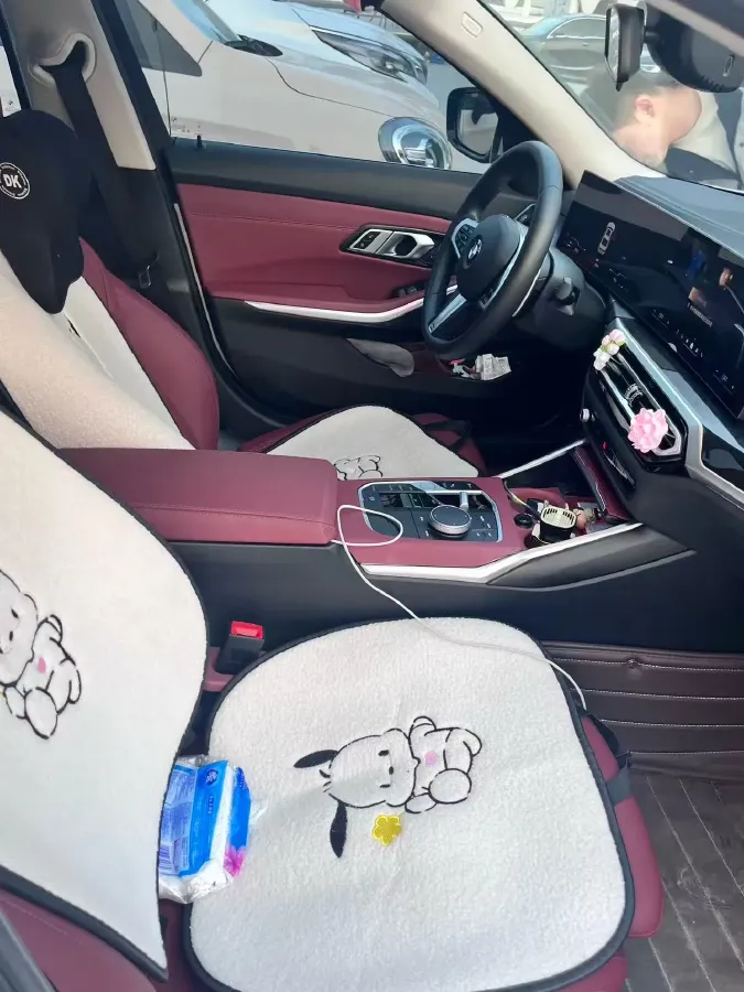 2024 BMW 3 Series 2.0T 184HP L4 8AT,autocango,china used car exporter,china ev exporter,chinese used car exporter,chinese used ev exporter