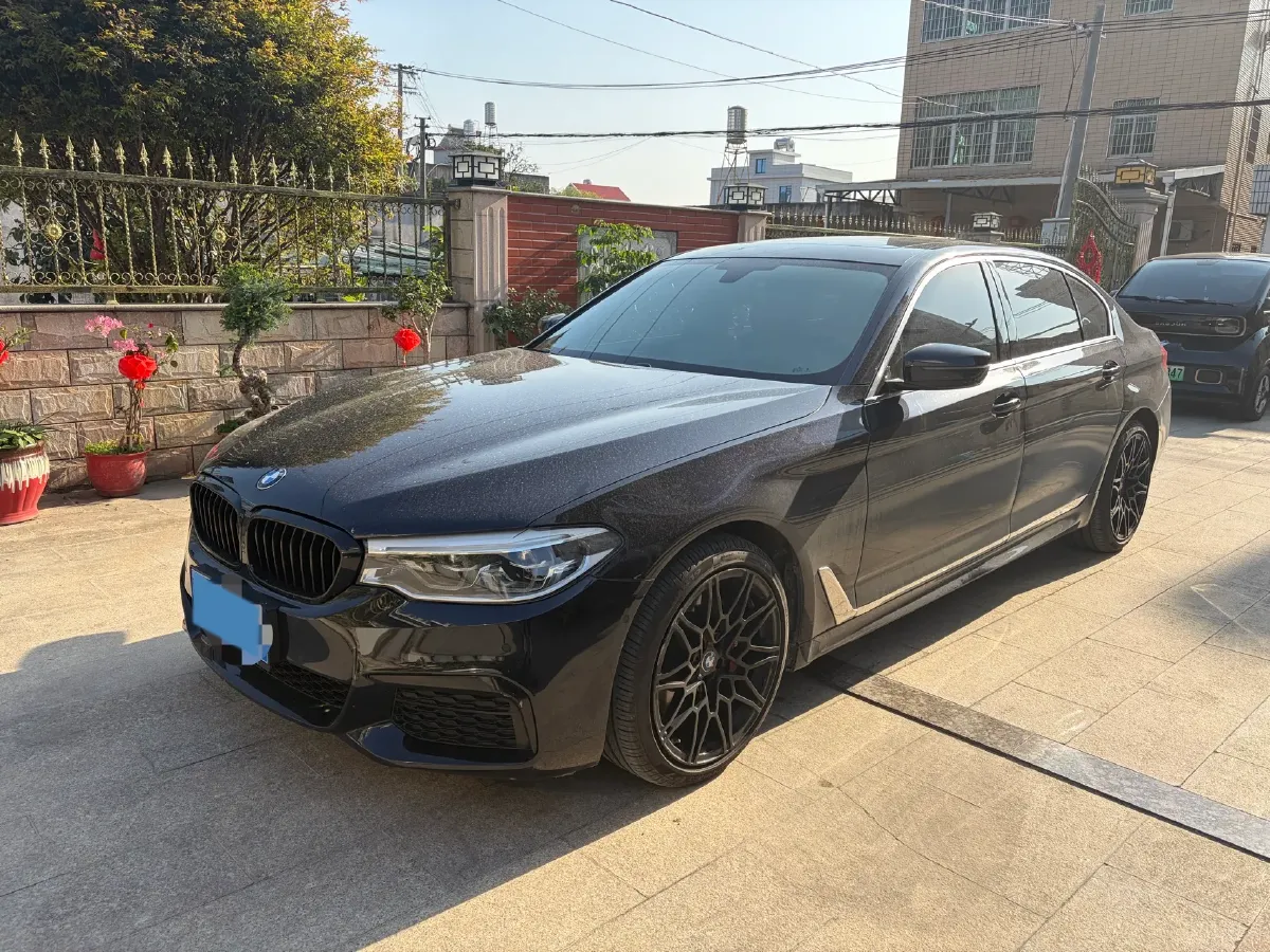 2020 BMW 5 Series 2.0T 252HP L4 8AT,autocango,china used car exporter,china ev exporter,chinese used car exporter,chinese used ev exporter