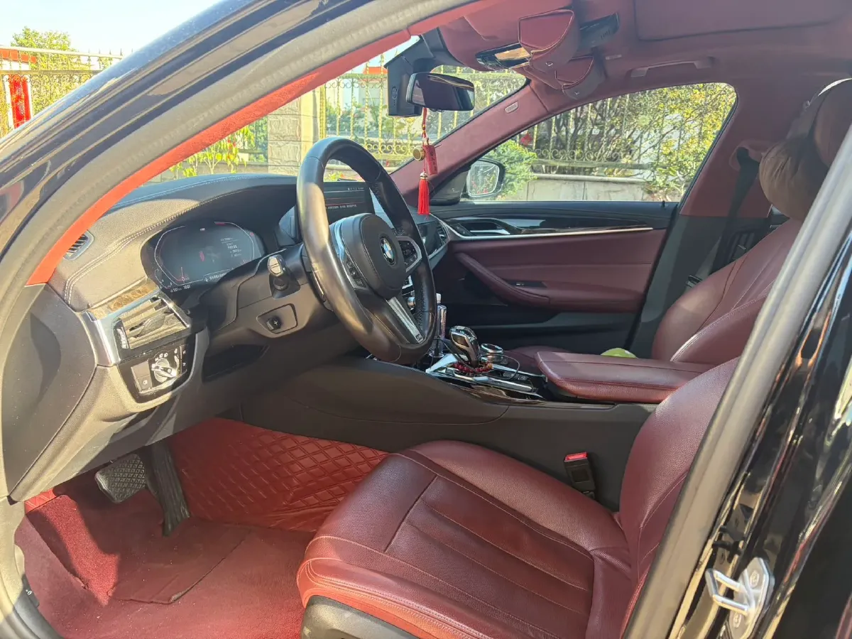 2020 BMW 5 Series 2.0T 252HP L4 8AT,autocango,china used car exporter,china ev exporter,chinese used car exporter,chinese used ev exporter