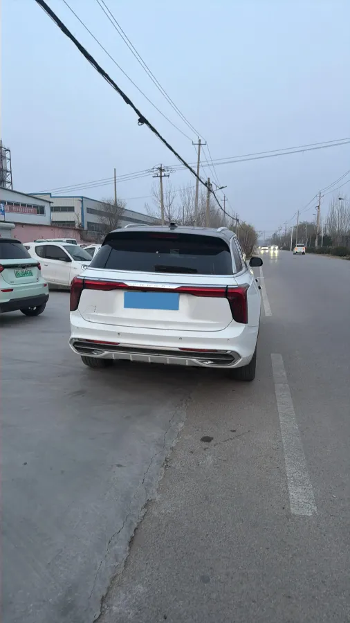 2021 HongQi E-HS9 BEV 84KWH,autocango,china used car exporter,china ev exporter,chinese used car exporter,chinese used ev exporter