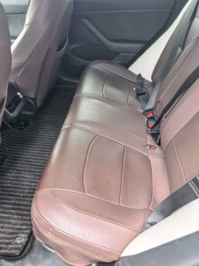 2021 Tesla Model 3 BEV 55KWH,autocango,china used car exporter,china ev exporter,chinese used car exporter,chinese used ev exporter