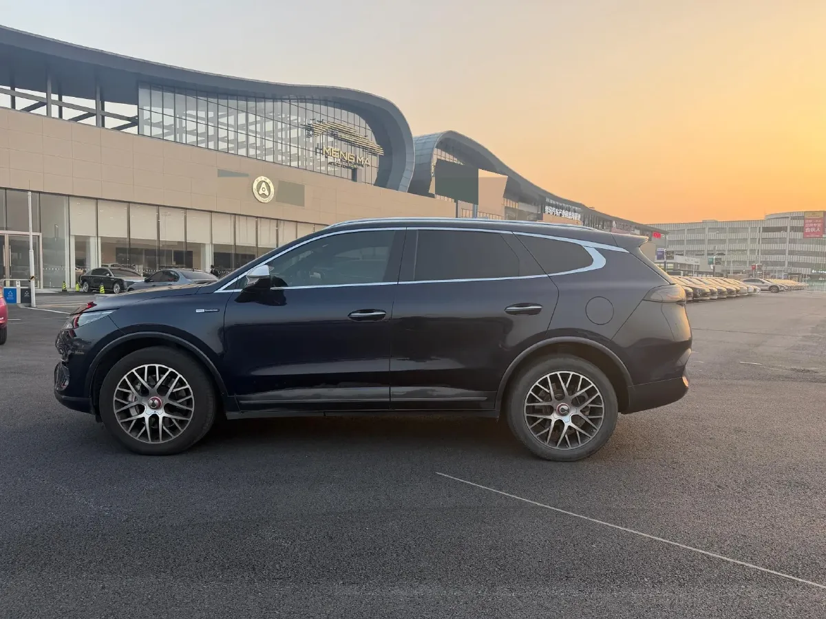 2020 Denza X 2.0T 192HP L4 6DCT PHEV 20KWH,autocango,china used car exporter,china ev exporter,chinese used car exporter,chinese used ev exporter