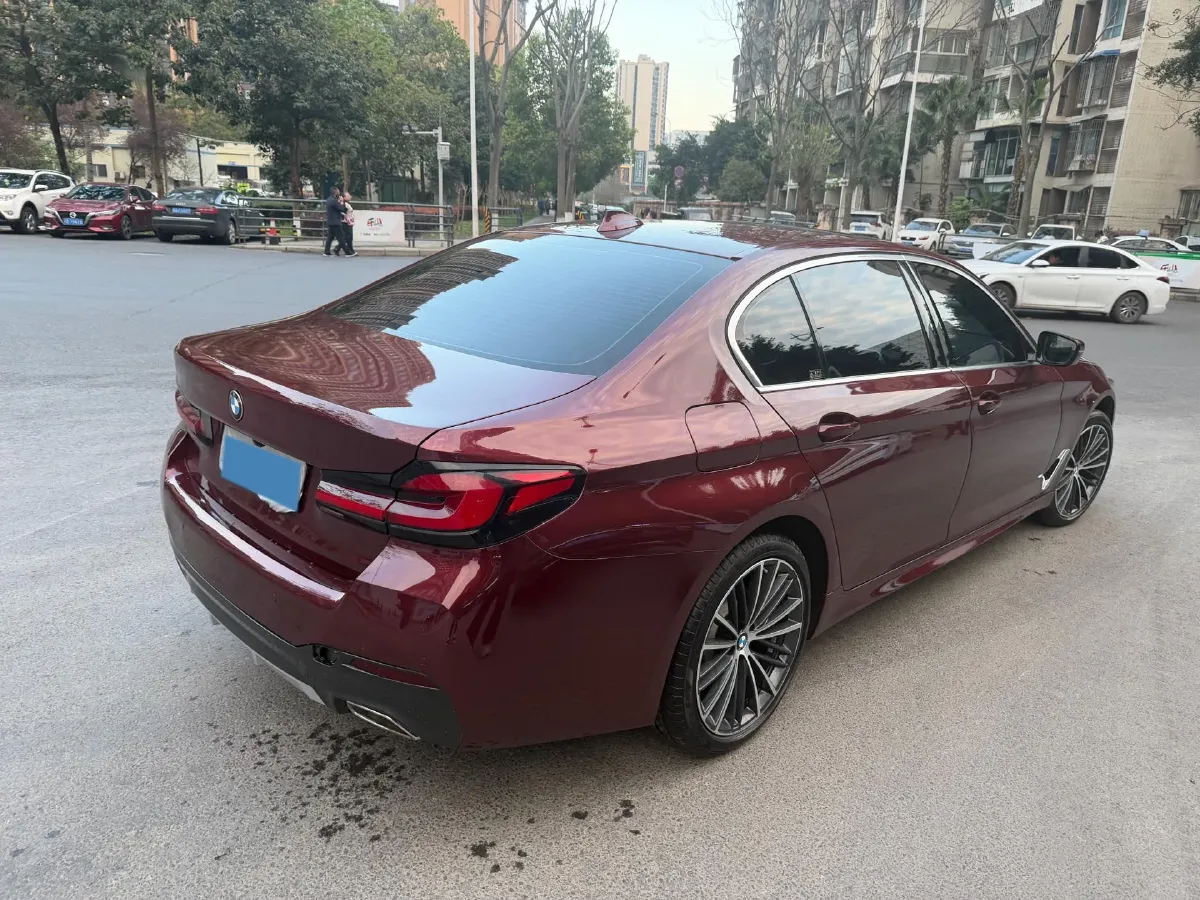 2021 BMW 5 Series 2.0T 184HP L4 8AT,autocango,china used car exporter,china ev exporter,chinese used car exporter,chinese used ev exporter