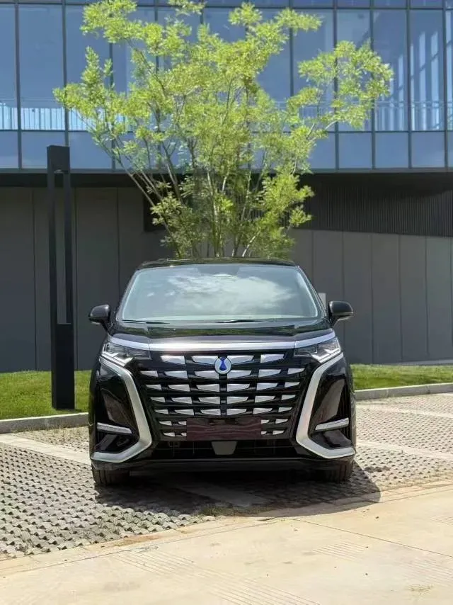 2024 Denza D9 1.5T 139HP L4 E-CVT PHEV 40KWH,autocango,china used car exporter,china ev exporter,chinese used car exporter,chinese used ev exporter