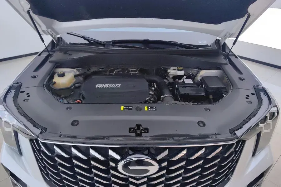 2024 GAC Trumpchi GS8 2.0T 252HP L4 8AT,autocango,china used car exporter,china ev exporter,chinese used car exporter,chinese used ev exporter