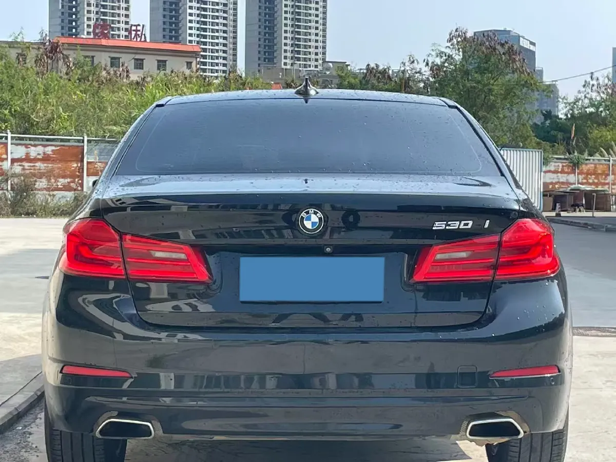 2019 BMW 5 Series 2.0T 184HP L4 8AT,autocango,china used car exporter,china ev exporter,chinese used car exporter,chinese used ev exporter