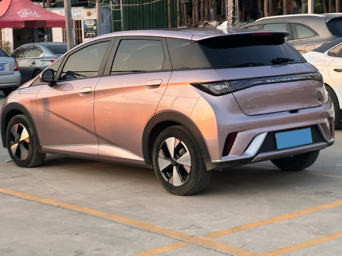 2023 BYD Dolphin BEV 44.928KWH,autocango,china used car exporter,china ev exporter,chinese used car exporter,chinese used ev exporter