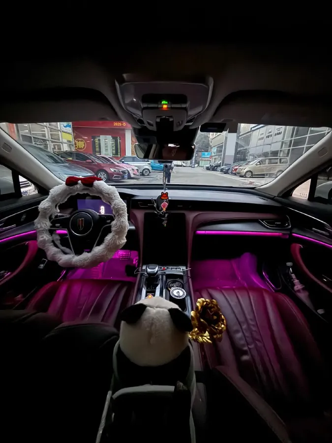 2023 HongQi H5 2.0T 224HP L4 8AT,autocango,china used car exporter,china ev exporter,chinese used car exporter,chinese used ev exporter