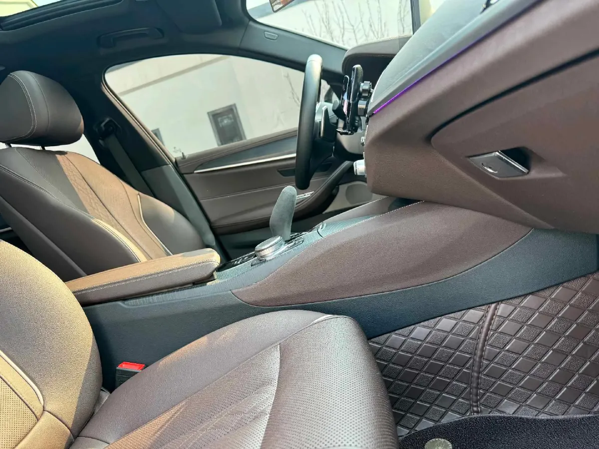 2022 BMW 5 Series 2.0T 252HP L4 8AT,autocango,china used car exporter,china ev exporter,chinese used car exporter,chinese used ev exporter