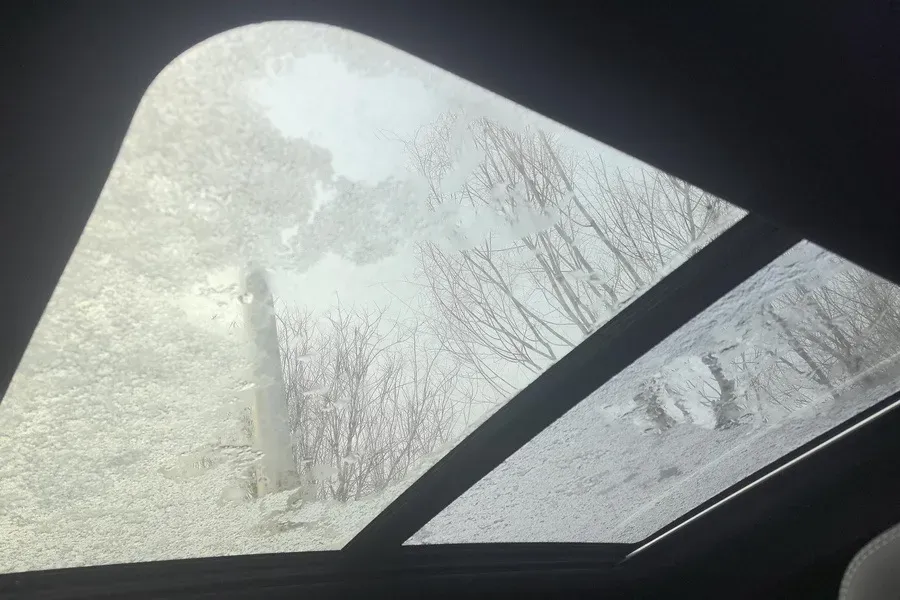 2025 GAC Trumpchi GS8 2.0T 252HP L4 8AT,autocango,china used car exporter,china ev exporter,chinese used car exporter,chinese used ev exporter