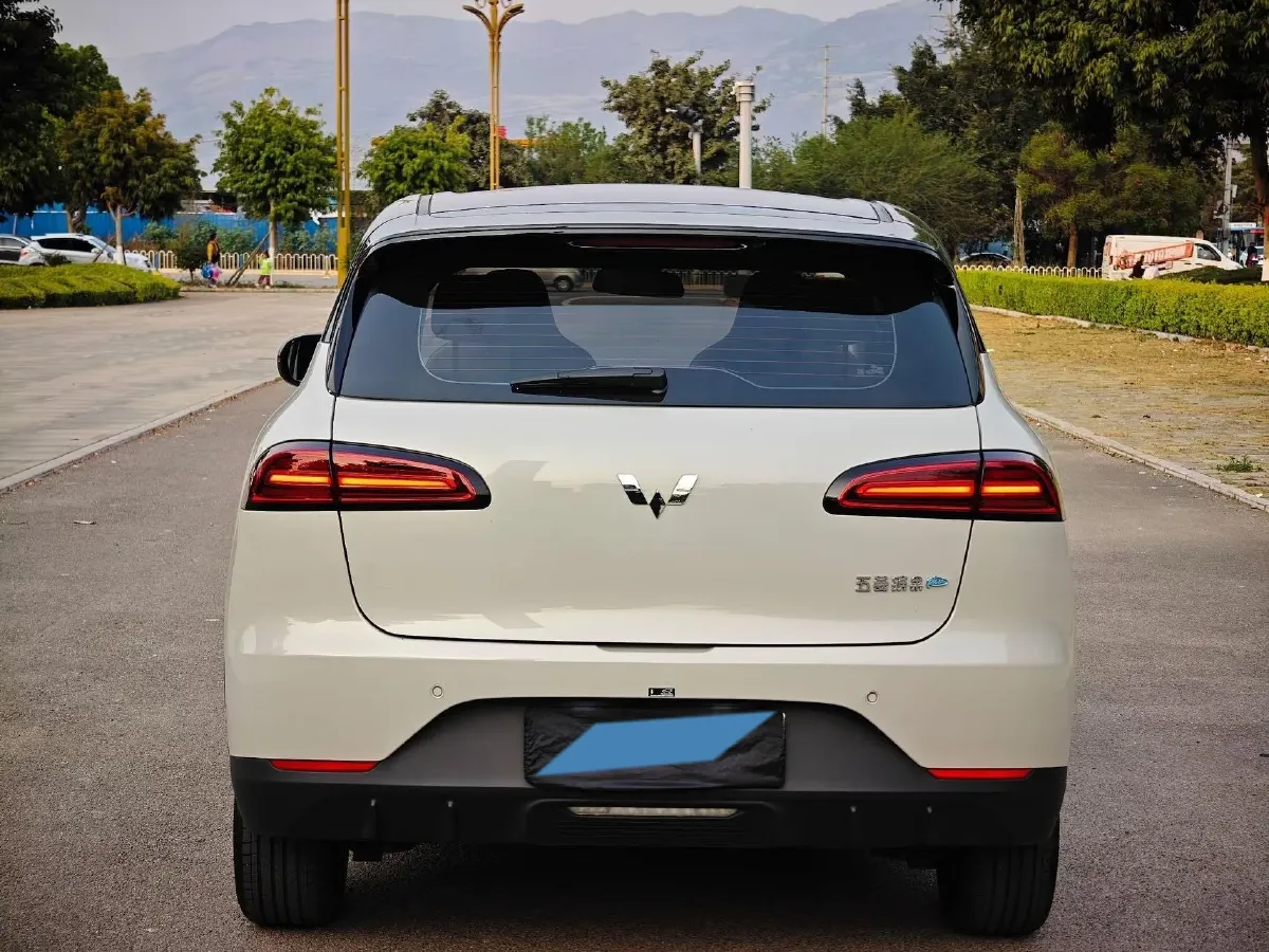 2024 WuLing BinGuoPLUS BEV 50.6KWH,autocango,china used car exporter,china ev exporter,chinese used car exporter,chinese used ev exporter