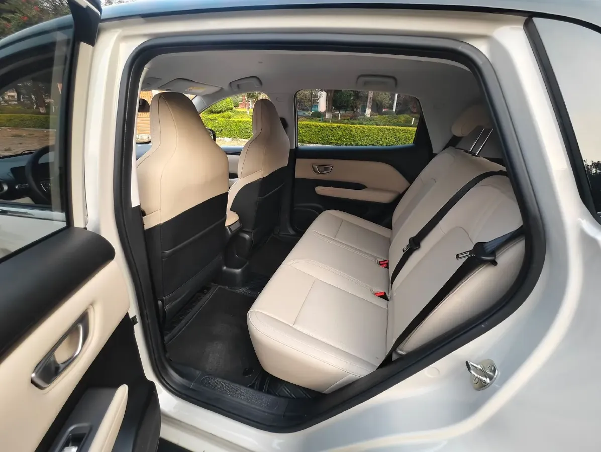 2024 WuLing BinGuoPLUS BEV 50.6KWH,autocango,china used car exporter,china ev exporter,chinese used car exporter,chinese used ev exporter