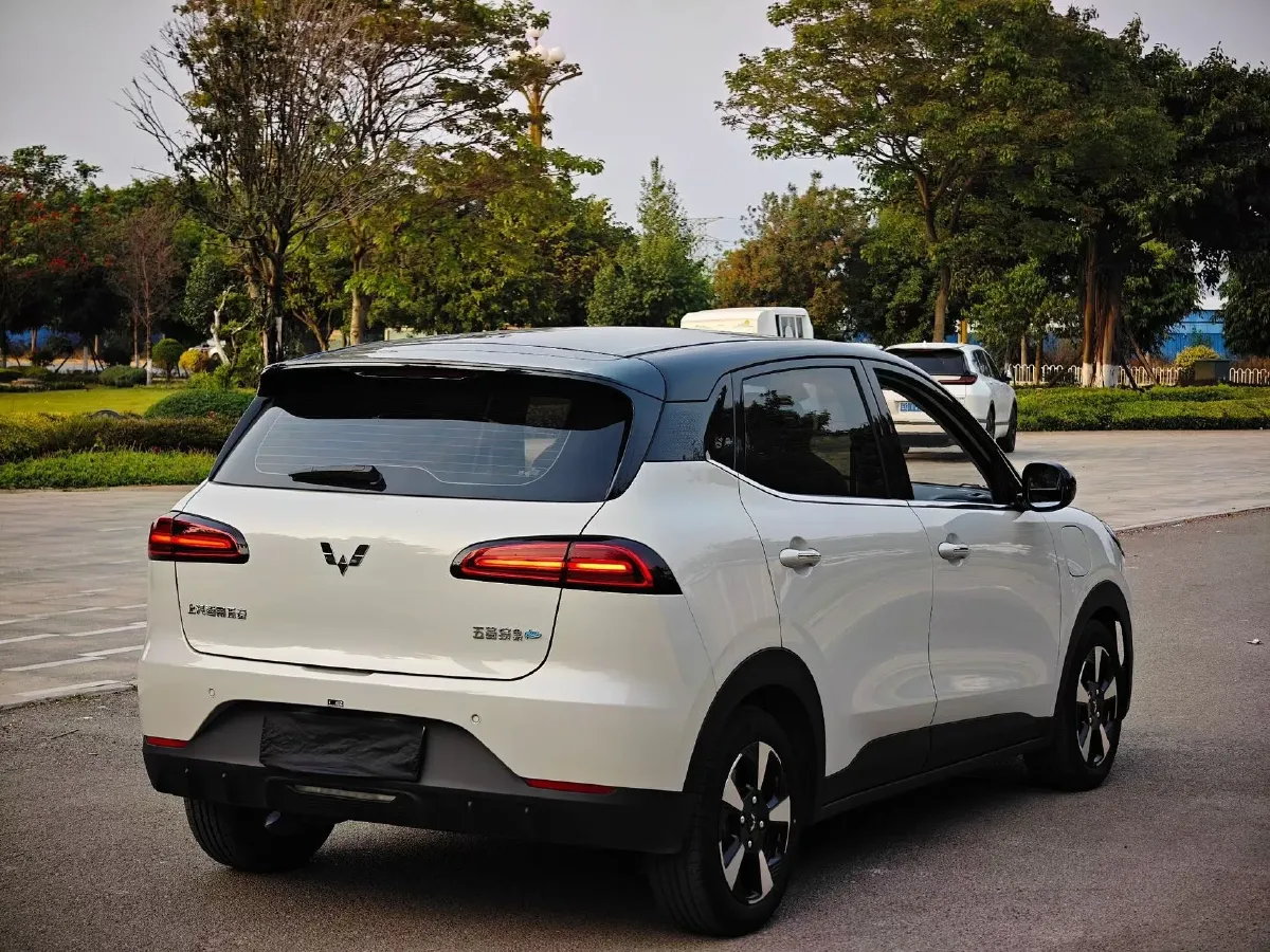 2024 WuLing BinGuoPLUS BEV 50.6KWH,autocango,china used car exporter,china ev exporter,chinese used car exporter,chinese used ev exporter
