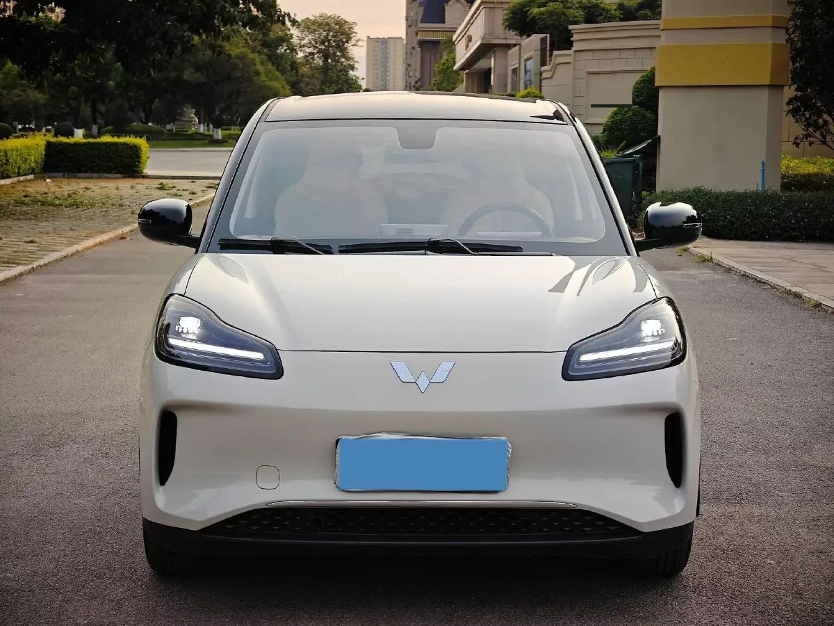 2024 WuLing BinGuoPLUS BEV 50.6KWH,autocango,china used car exporter,china ev exporter,chinese used car exporter,chinese used ev exporter