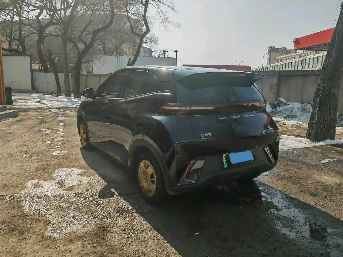 2024 BYD Seagull BEV 30.08KWH,autocango,china used car exporter,china ev exporter,chinese used car exporter,chinese used ev exporter