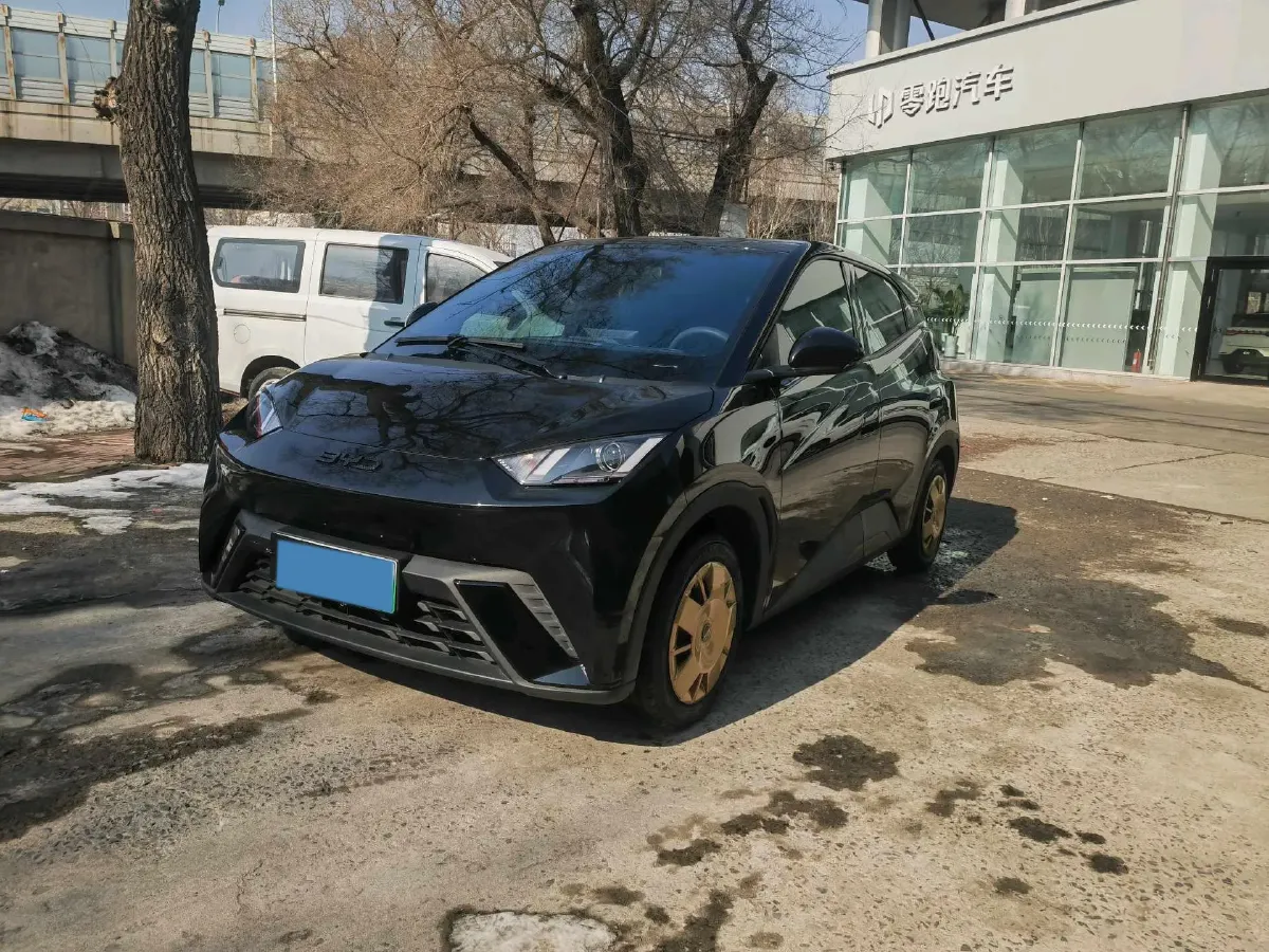 2024 BYD Seagull BEV 30.08KWH,autocango,china used car exporter,china ev exporter,chinese used car exporter,chinese used ev exporter