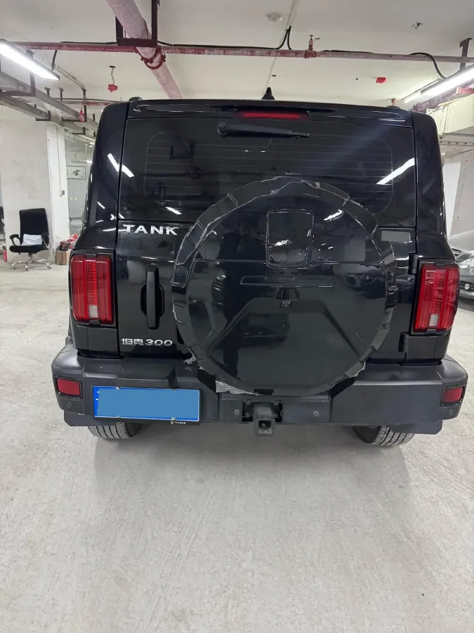 2023 Tank 300 2.0T 227HP L4 8AT,autocango,china used car exporter,china ev exporter,chinese used car exporter,chinese used ev exporter