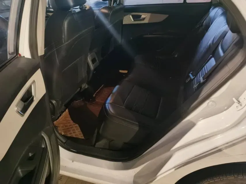 2019 BYD Qin BEV 53.1KWH,autocango,china used car exporter,china ev exporter,chinese used car exporter,chinese used ev exporter