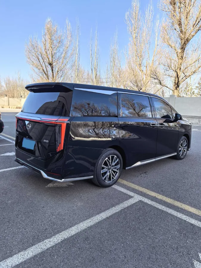 2024 GAC Trumpchi M8 2.0T 252HP L4 8AT,autocango,china used car exporter,china ev exporter,chinese used car exporter,chinese used ev exporter