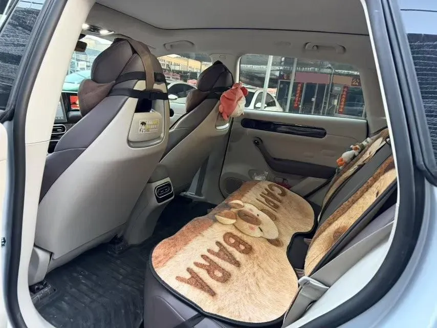 2023 Leapmotor C11 Range Extended 131HP REEV 30.1KWH,autocango,china used car exporter,china ev exporter,chinese used car exporter,chinese used ev exporter