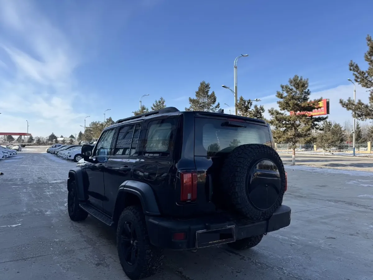 2021 Tank 300 2.0T 227HP L4 8AT,autocango,china used car exporter,china ev exporter,chinese used car exporter,chinese used ev exporter