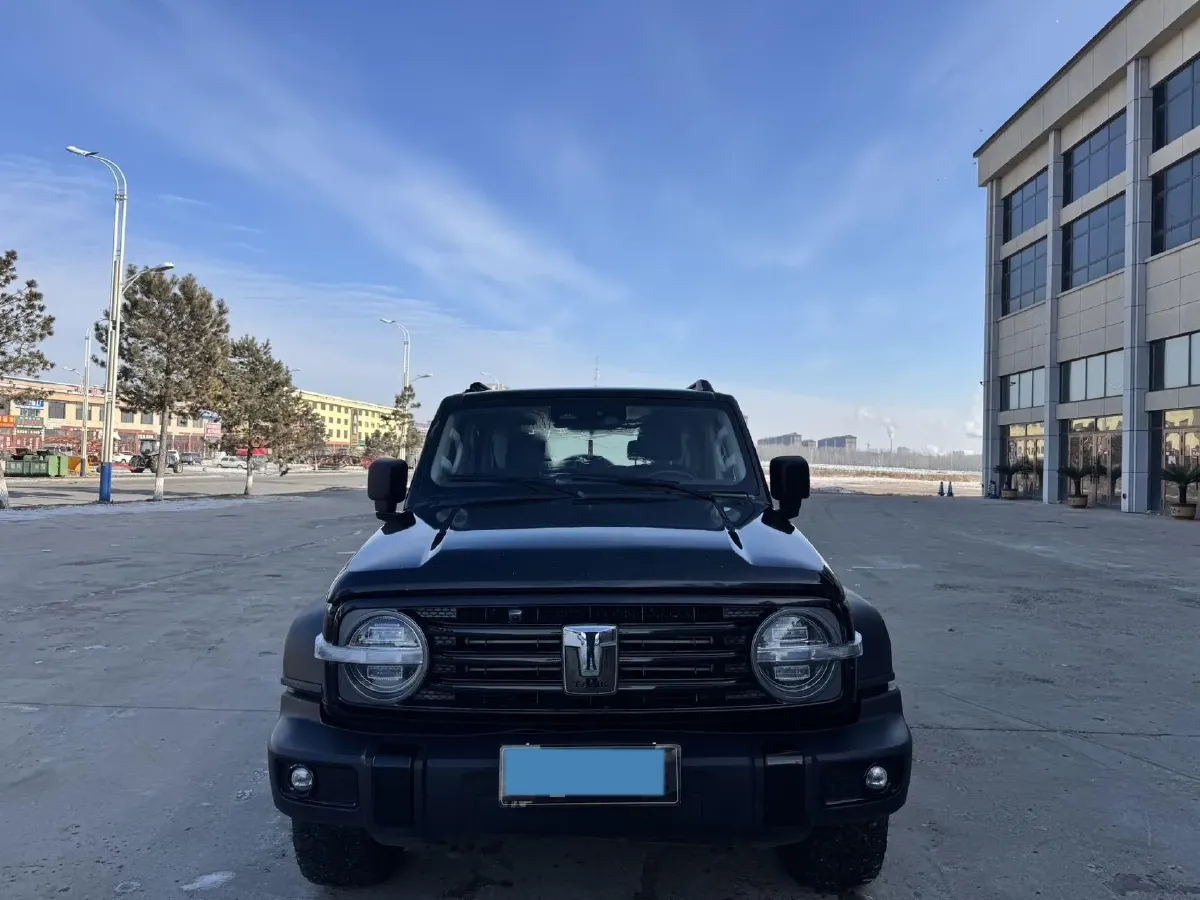 2021 Tank 300 2.0T 227HP L4 8AT,autocango,china used car exporter,china ev exporter,chinese used car exporter,chinese used ev exporter