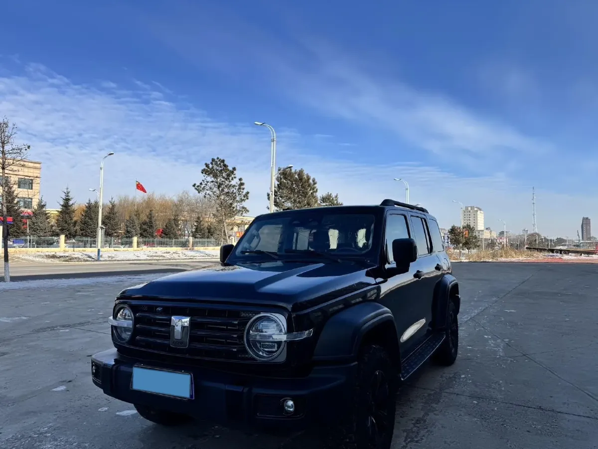 2021 Tank 300 2.0T 227HP L4 8AT,autocango,china used car exporter,china ev exporter,chinese used car exporter,chinese used ev exporter