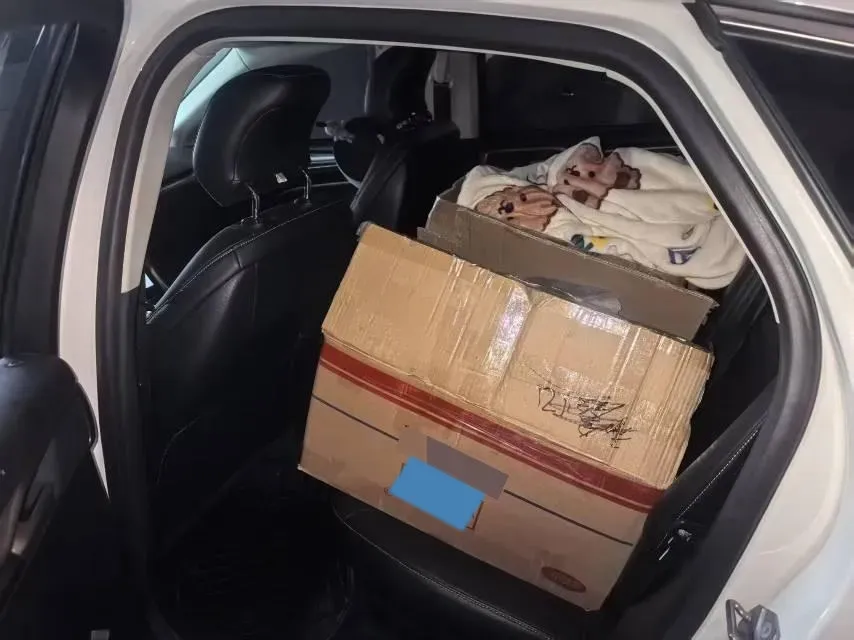 2020 Ford Mondeo 1.5T 182HP L4 6AT,autocango,china used car exporter,china ev exporter,chinese used car exporter,chinese used ev exporter