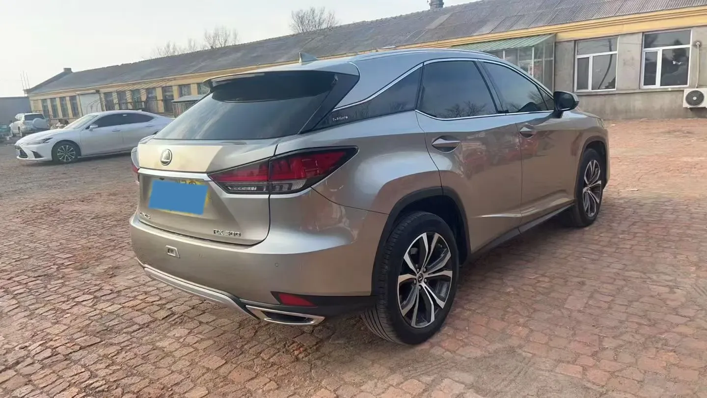 2020 Lexus RX 2.0T 231HP L4 6AT,autocango,china used car exporter,china ev exporter,chinese used car exporter,chinese used ev exporter