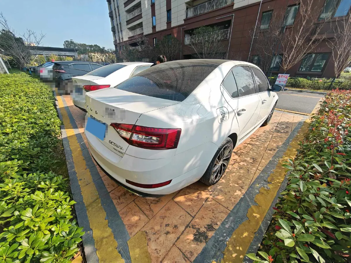 2019 Skoda Octavia 1.4T 150HP L4 7DCT,autocango,china used car exporter,china ev exporter,chinese used car exporter,chinese used ev exporter