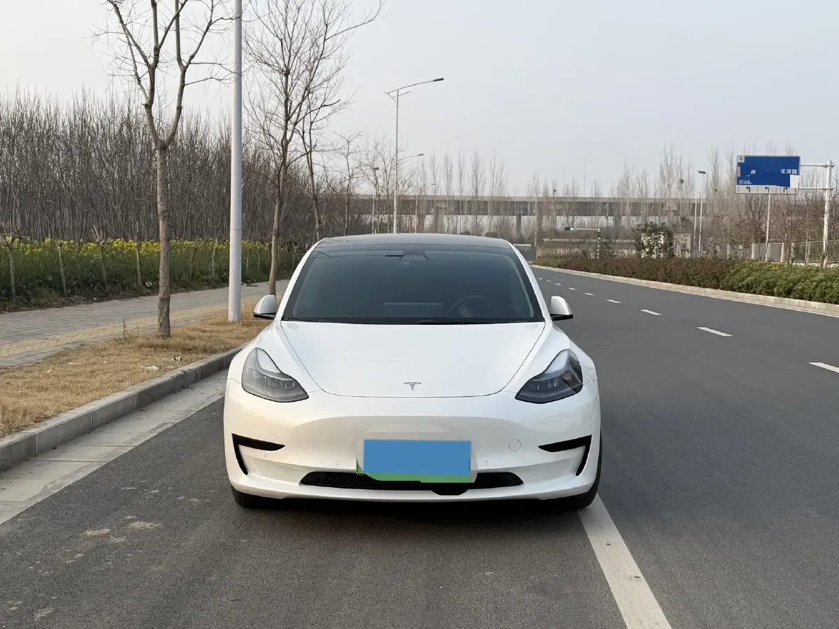 2022 Tesla Model 3 BEV 60KWH,autocango,china used car exporter,china ev exporter,chinese used car exporter,chinese used ev exporter