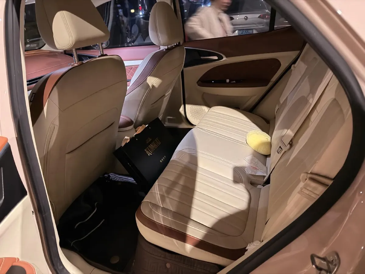 2021 Ora FunkyCat BEV 45.99KWH,autocango,china used car exporter,china ev exporter,chinese used car exporter,chinese used ev exporter