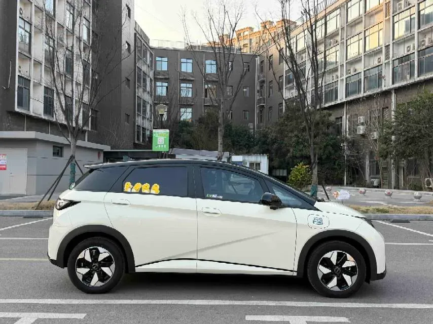 2025 BYD Dolphin BEV 44.928KWH,autocango,china used car exporter,china ev exporter,chinese used car exporter,chinese used ev exporter