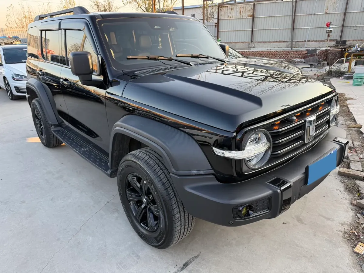 2021 Tank 300 2.0T 227HP L4 8AT,autocango,china used car exporter,china ev exporter,chinese used car exporter,chinese used ev exporter