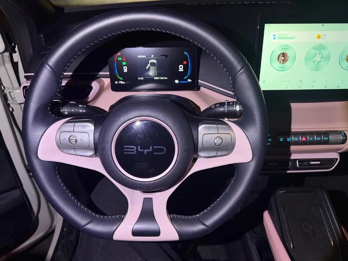 2024 BYD Seagull BEV 30.08KWH,autocango,china used car exporter,china ev exporter,chinese used car exporter,chinese used ev exporter