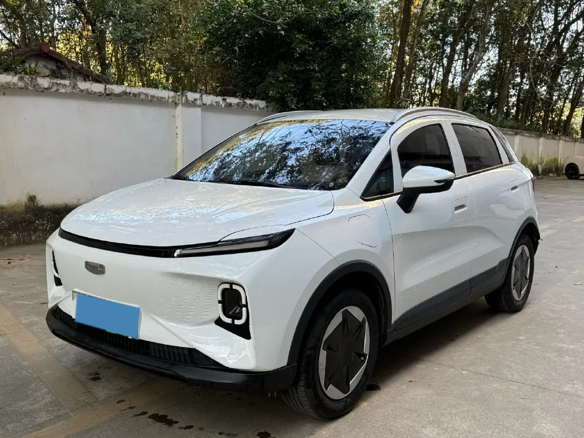 2024 Geometry E BEV 29.67KWH,autocango,china used car exporter,china ev exporter,chinese used car exporter,chinese used ev exporter