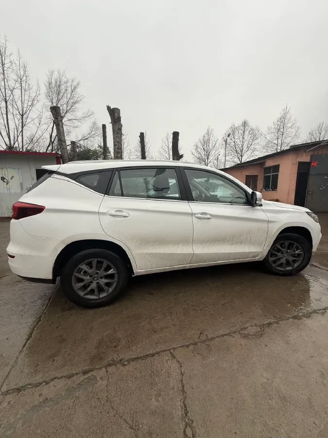 2020 BYD Song 1.5T 160HP L4 6DCT,autocango,china used car exporter,china ev exporter,chinese used car exporter,chinese used ev exporter