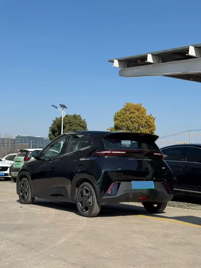 2025 BYD Seagull BEV 38.88KWH,autocango,china used car exporter,china ev exporter,chinese used car exporter,chinese used ev exporter