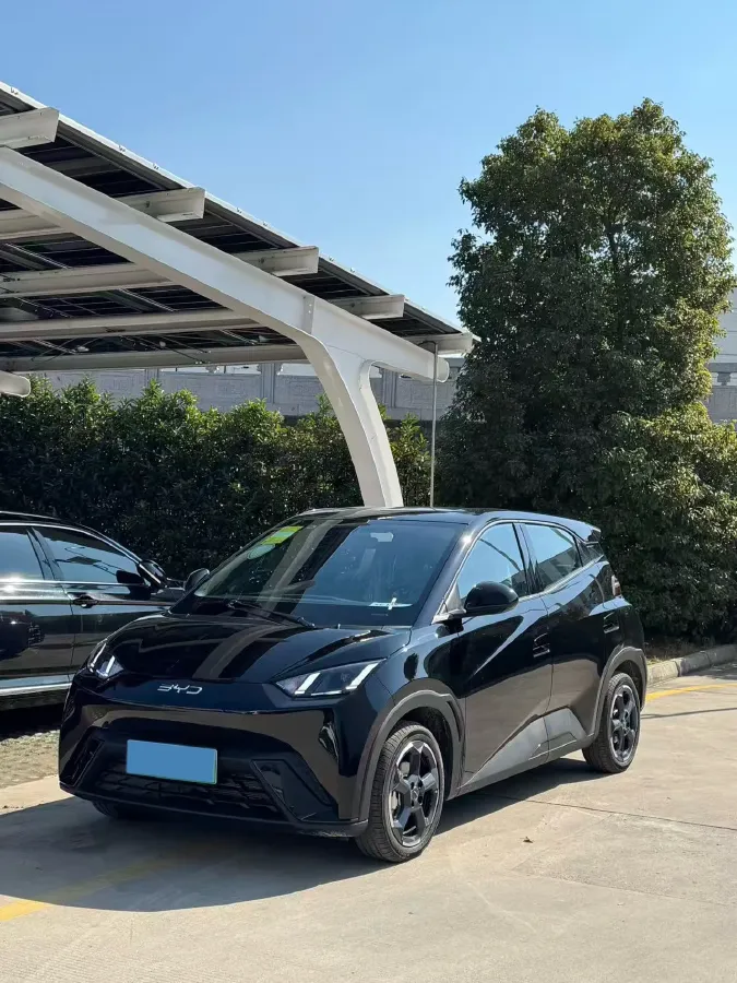 2025 BYD Seagull BEV 38.88KWH,autocango,china used car exporter,china ev exporter,chinese used car exporter,chinese used ev exporter