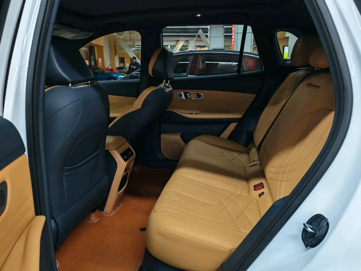 2025 BYD Sea Lion 05 DM-i 1.5L 101HP L4 E-CVT PHEV 18.3KWH,autocango,china used car exporter,china ev exporter,chinese used car exporter,chinese used ev exporter