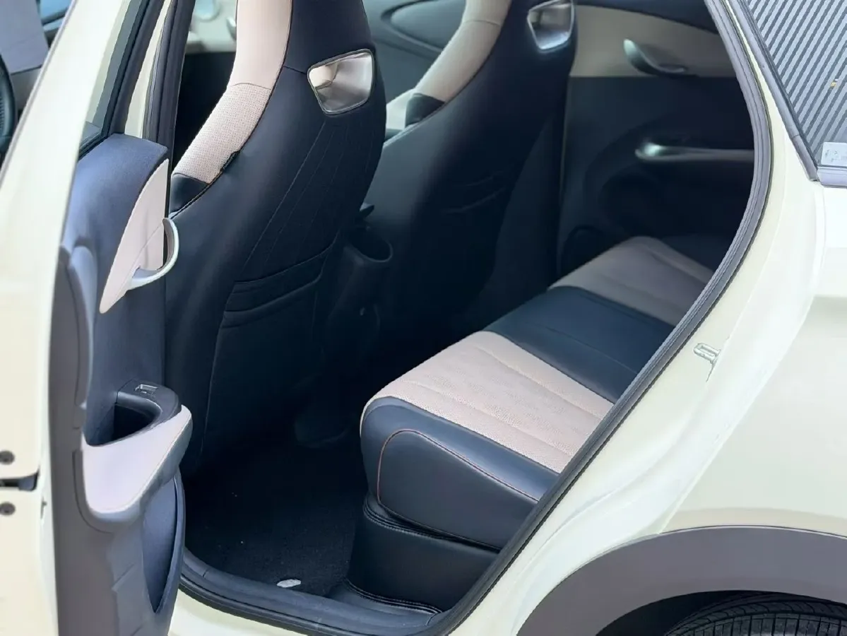 2023 BYD Dolphin BEV 44.928KWH,autocango,china used car exporter,china ev exporter,chinese used car exporter,chinese used ev exporter