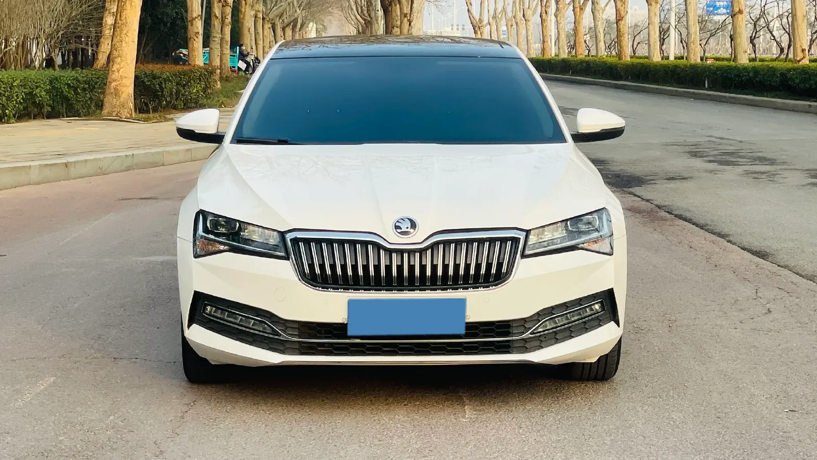 2019 Volkswagen Lamando 1.4T 150HP L4 7DCT,autocango,china used car exporter,china ev exporter,chinese used car exporter,chinese used ev exporter