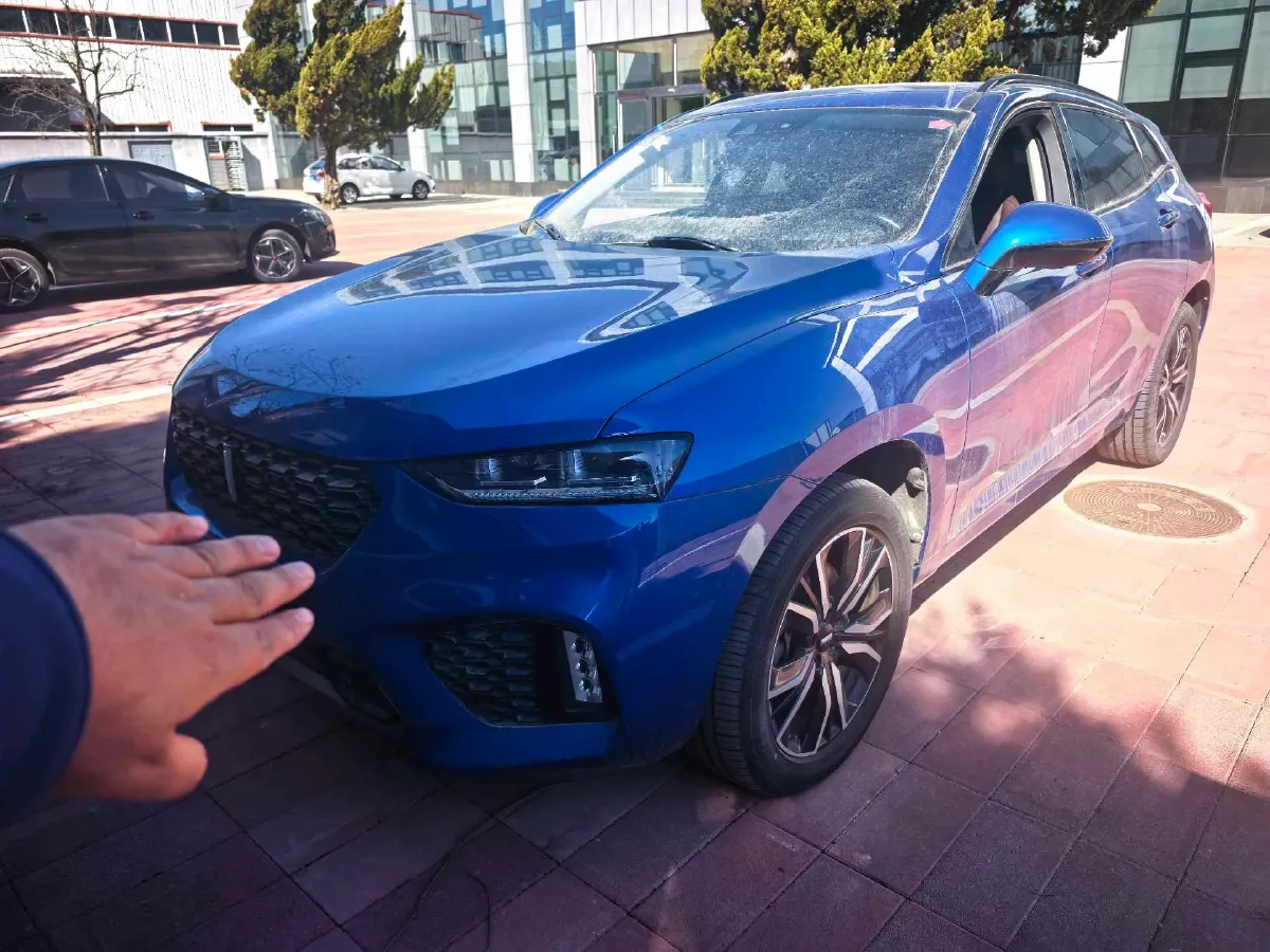 2017 WEY VV7 2.0T 234HP L4 7DCT,autocango,china used car exporter,china ev exporter,chinese used car exporter,chinese used ev exporter