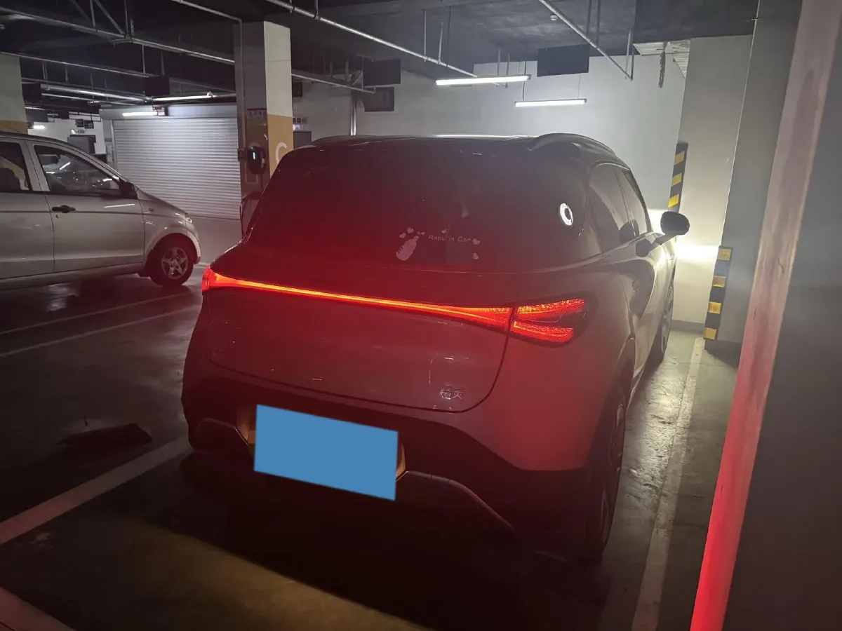 2024 Smart smart Elf 1 BEV 66KWH,autocango,china used car exporter,china ev exporter,chinese used car exporter,chinese used ev exporter