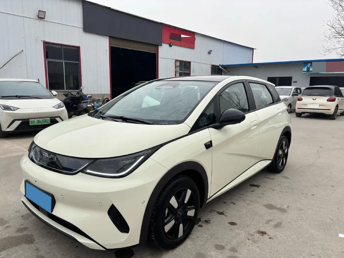2025 BYD Dolphin BEV 45.12KWH,autocango,china used car exporter,china ev exporter,chinese used car exporter,chinese used ev exporter