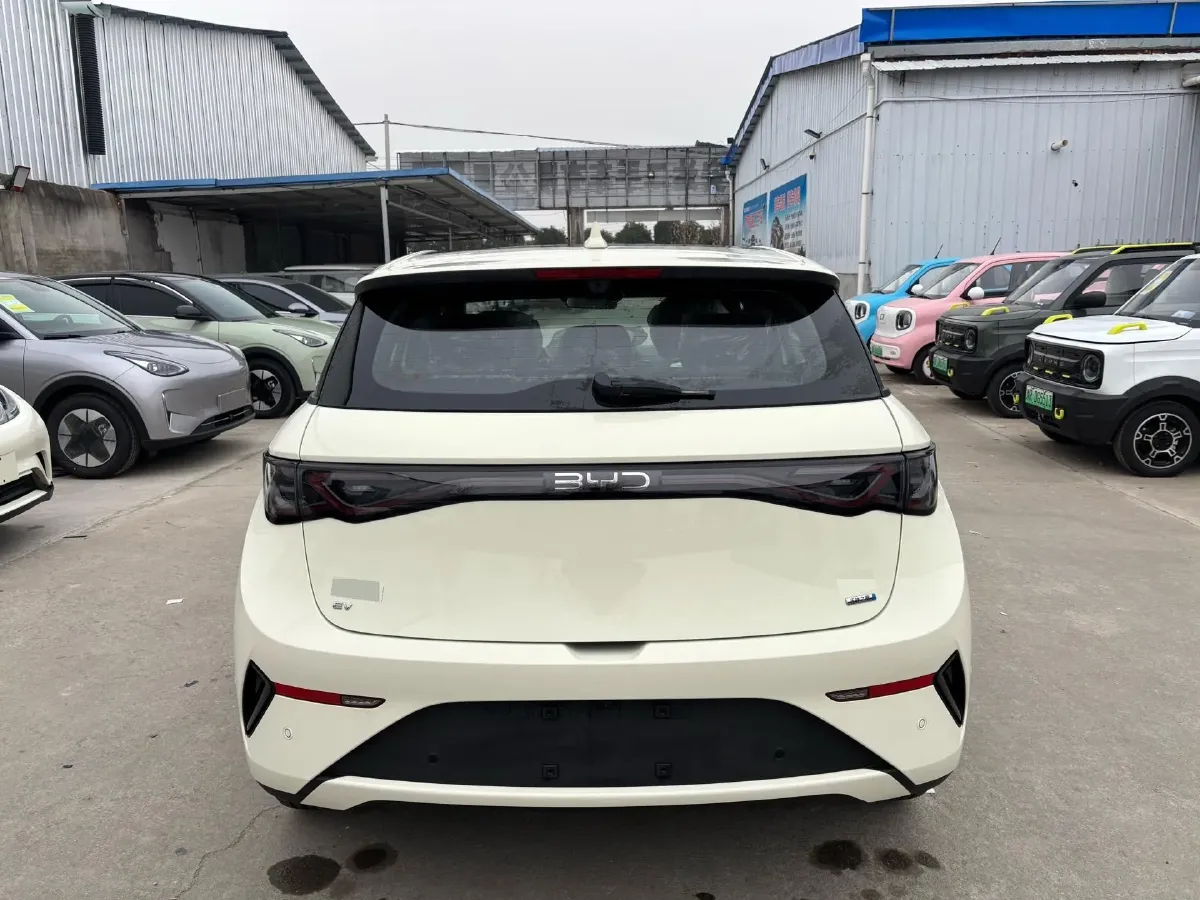 2025 BYD Dolphin BEV 45.12KWH,autocango,china used car exporter,china ev exporter,chinese used car exporter,chinese used ev exporter