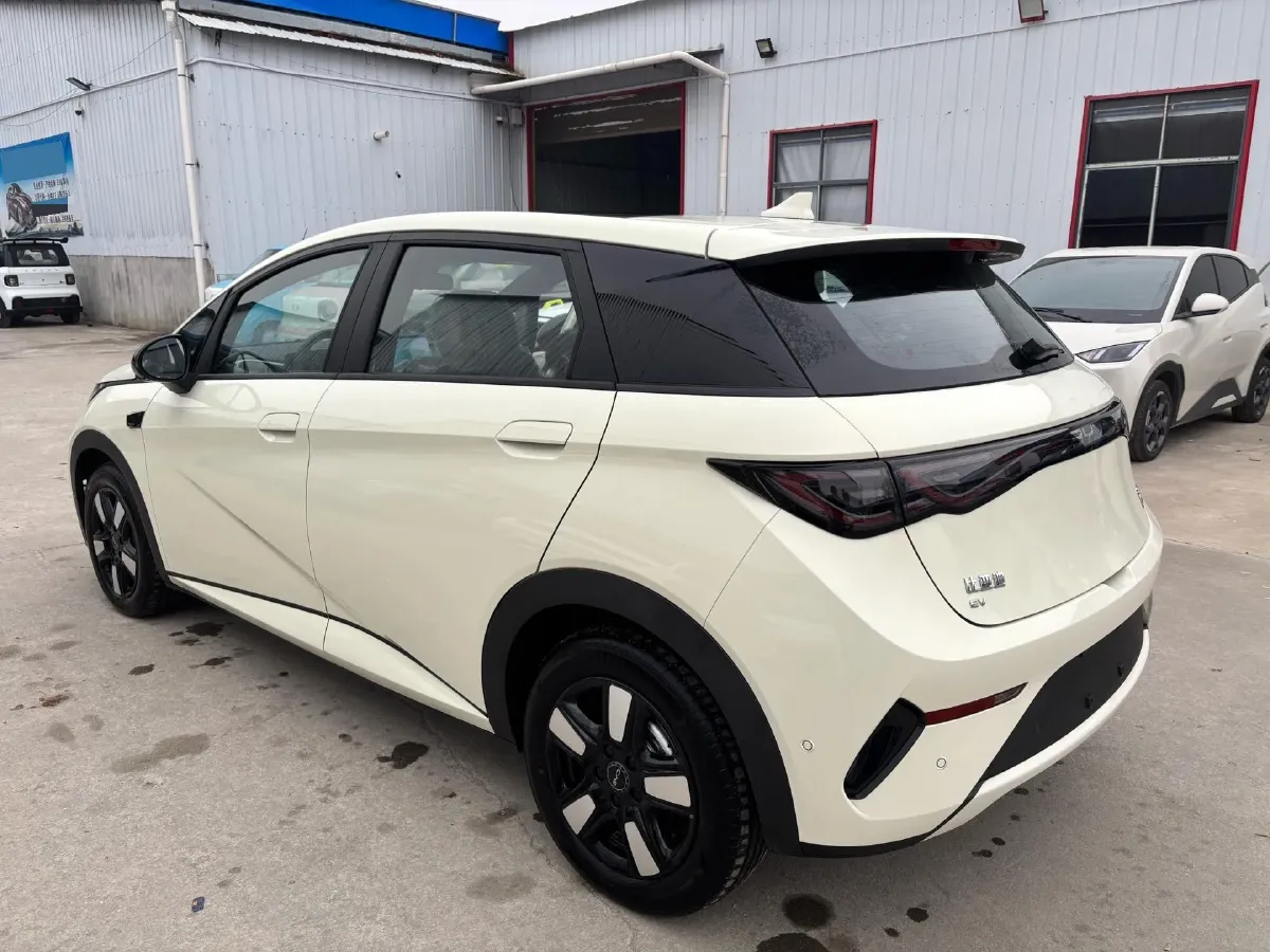 2025 BYD Dolphin BEV 45.12KWH,autocango,china used car exporter,china ev exporter,chinese used car exporter,chinese used ev exporter