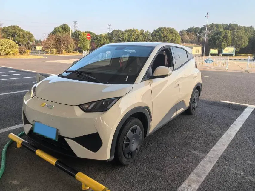 2025 BYD Seagull BEV 30.08KWH,autocango,china used car exporter,china ev exporter,chinese used car exporter,chinese used ev exporter